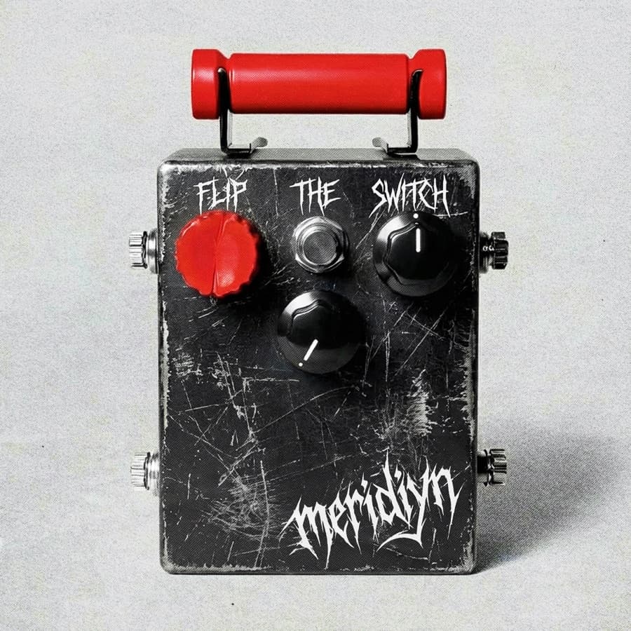 Flip The Switch, Meridiyn artwork